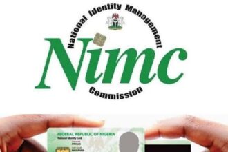 NIN linkage: Nigerians in Diaspora lament neglect...