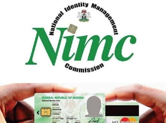 NIN linkage: Nigerians in Diaspora lament neglect...