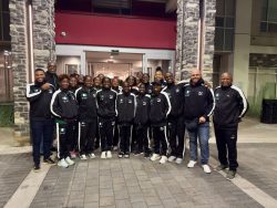 Green Falcons Crush Ireland to Reach Historic Final