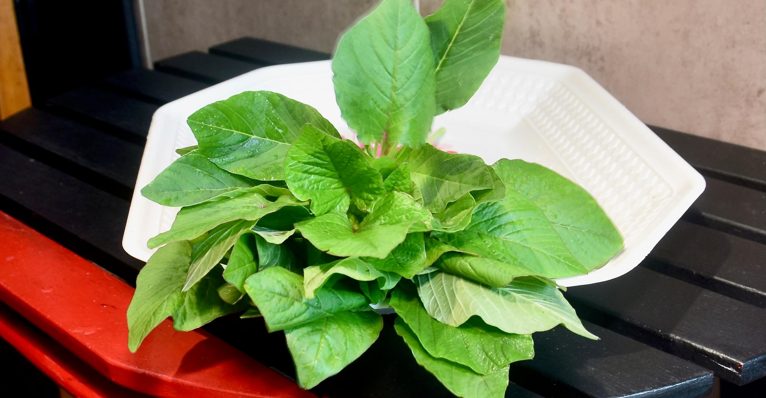Fresh amaranth leaves and seeds displayed in a bowl, a nutrient-rich African superfood.