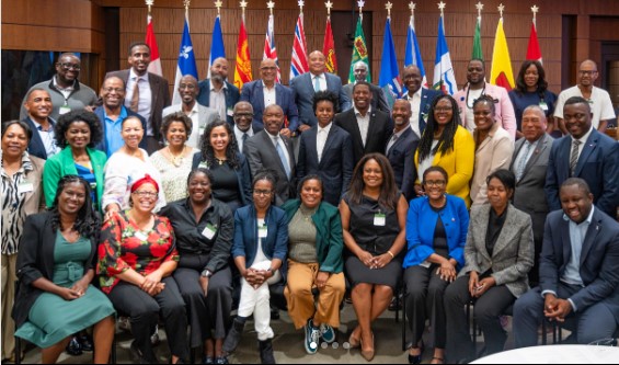 A diverse group of Canadian Black municipal, regional, and provincial elected officials posing together inside a committee meeting room during a legislative policy briefing.