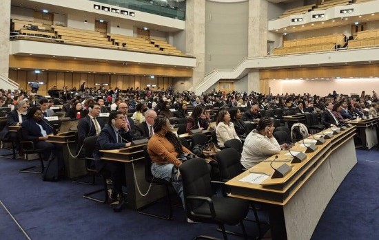 Participants at a United Nations Permanent Forum on People of African Descent session